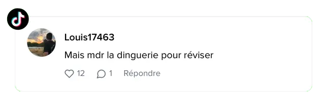 Avis d'étudiant sur Leo AI