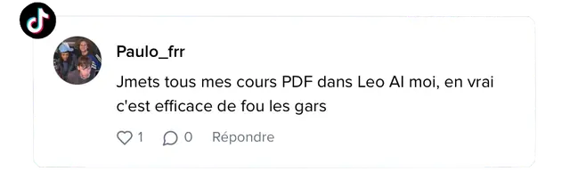 Avis d'étudiant sur Leo AI