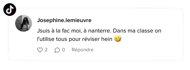 Avis d'étudiant sur Leo AI